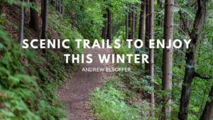 Scenic Trails to Enjoy This Winter