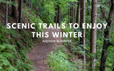 Scenic Trails to Enjoy This Winter