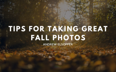 Tips for Taking Great Fall Photos