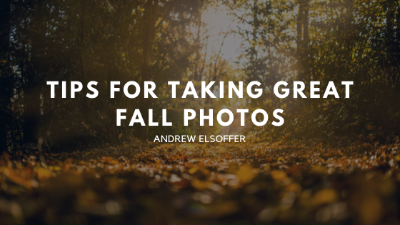 Tips for Taking Great Fall Photos