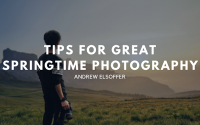 Tips For Great Springtime Photography