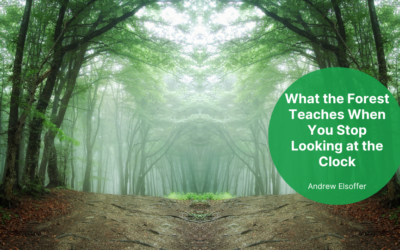 What the Forest Teaches When You Stop Looking at the Clock