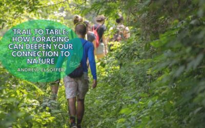 Trail to Table: How Foraging Can Deepen Your Connection to Nature